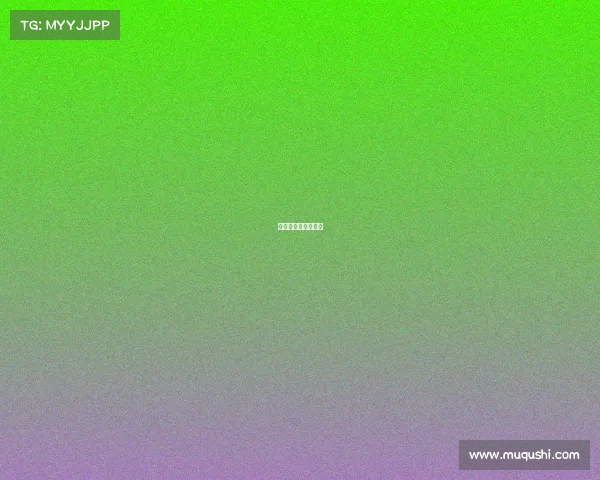 女排土耳其比赛结果